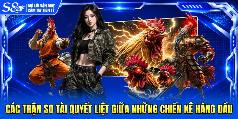 Các trận so tài quyết liệt giữa những chiến kê hàng đầu