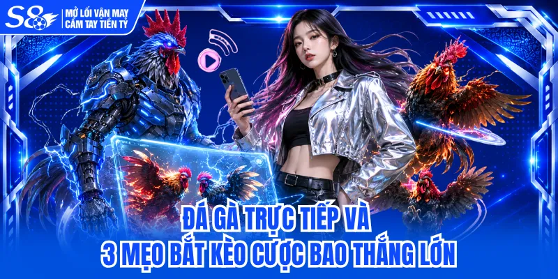 Đá Gà Trực Tiếp Và 3 Mẹo Bắt Kèo Cược Bao Thắng Lớn