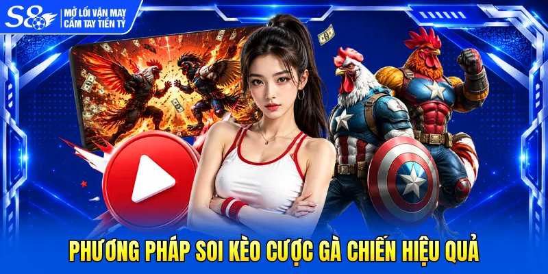 Phương pháp soi kèo cược gà chiến hiệu quả 